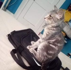 Meet your Posher, Gabby